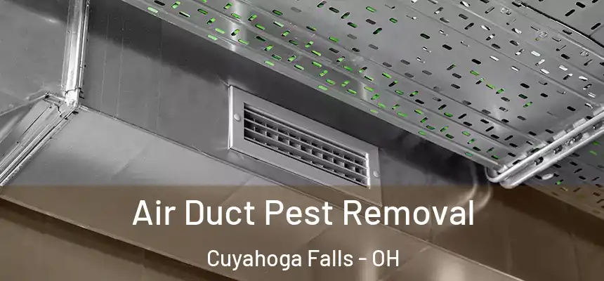 Air Duct Pest Removal Cuyahoga Falls - OH