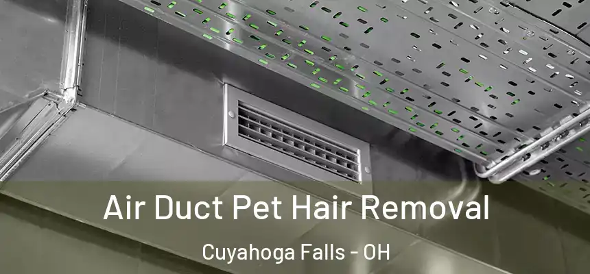  Air Duct Pet Hair Removal Cuyahoga Falls - OH