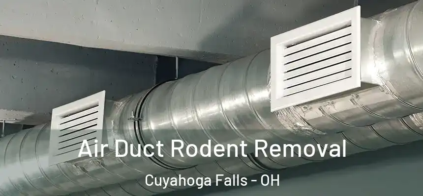 Air Duct Rodent Removal Cuyahoga Falls - OH