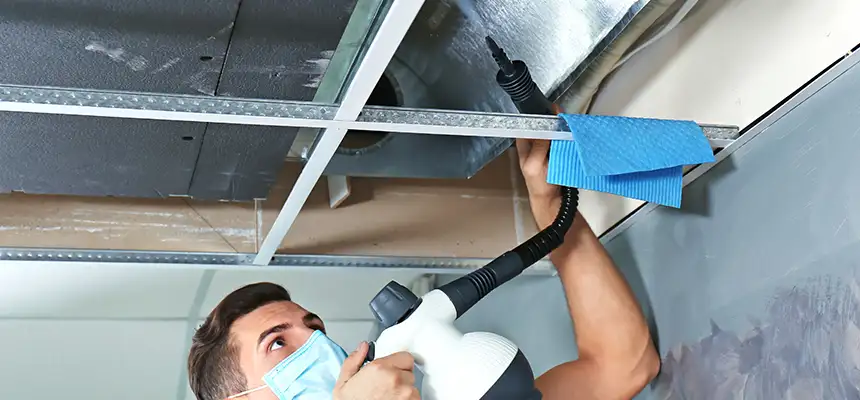 Our Air Duct Rodent Removal Services in Cuyahoga Falls, OH
