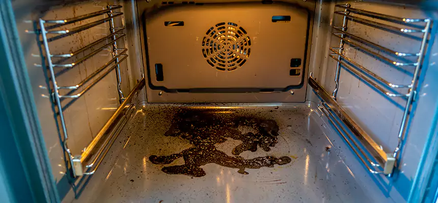 Our Dryer Vent Mold Cleaning Services in Cuyahoga Falls, OH