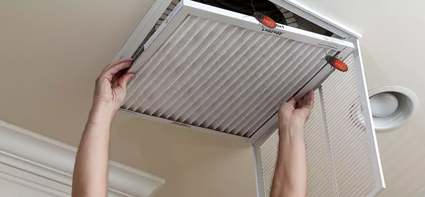 Our Insect Removal from Air Ducts Services in Cuyahoga Falls, OH
