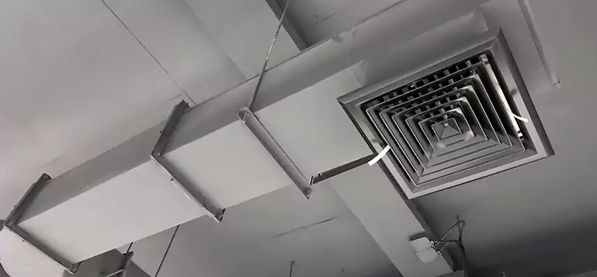 Our Pest Removal From Ducts Services in Cuyahoga Falls, OH