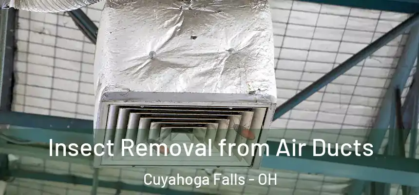 Insect Removal from Air Ducts Cuyahoga Falls - OH