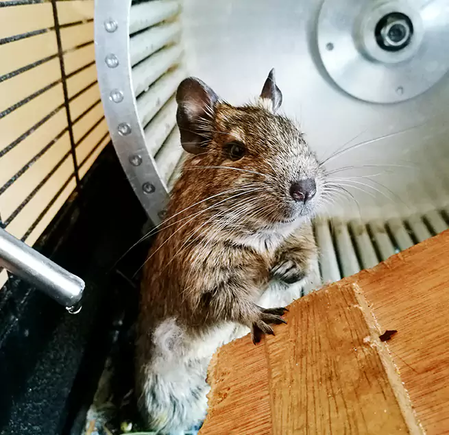 Why Homeowners & Businesses Trust Us Cuyahoga Falls, OH?